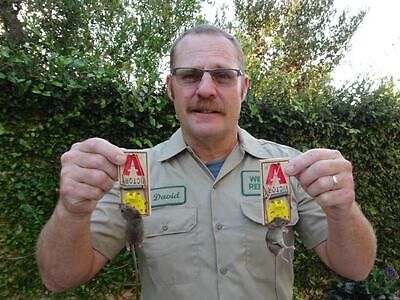 Waterbury pest control